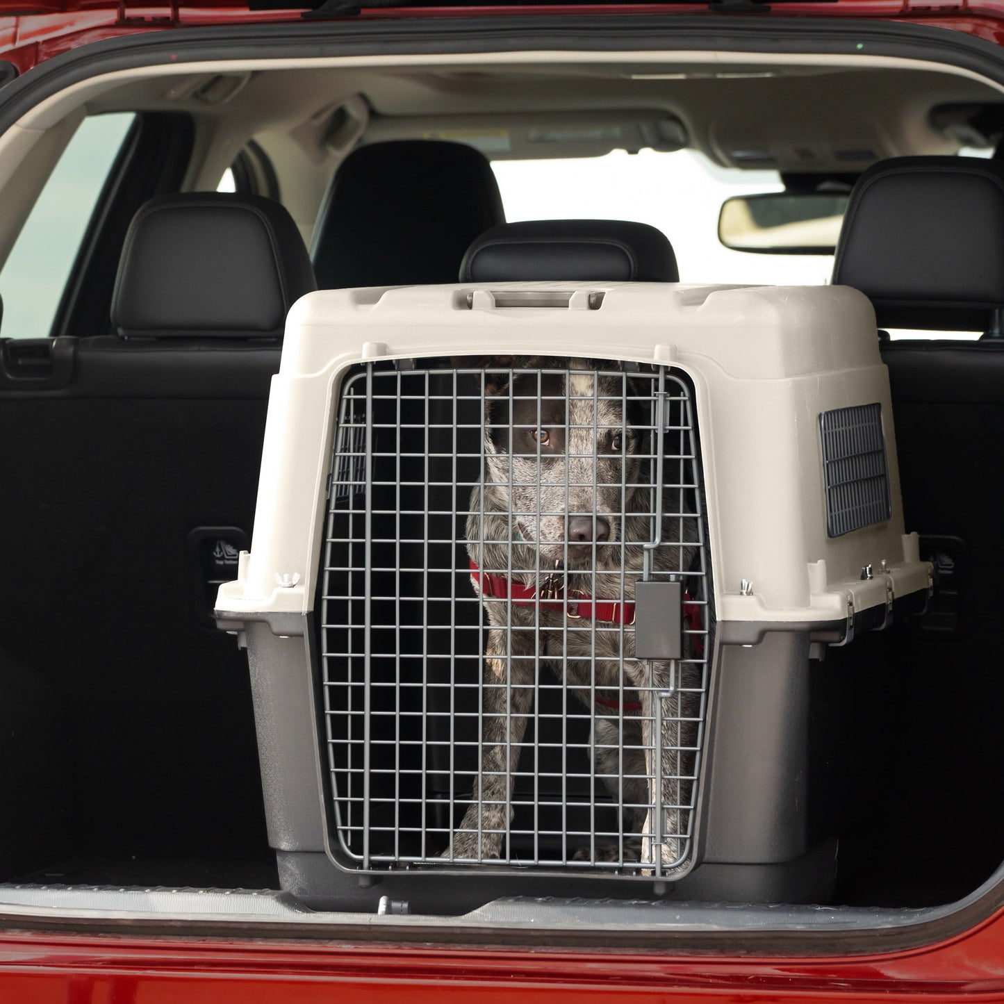 Airline Approved Plastic Dog Kennel with Wheels, Large