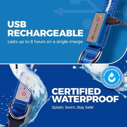 Light up Dog Collar - the Original LED Dog Collar - USB Rechargeable - Waterproof - 1,000 Feet of Visibility - Dog Collar Light for Small, Medium, Large Dogs - USA Brand